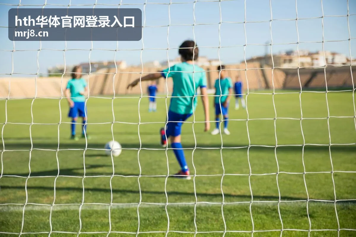 hth华体官网登录入口桌面端安装包说明图